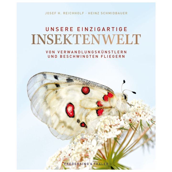 Unsere einzigartige Insektenwelt