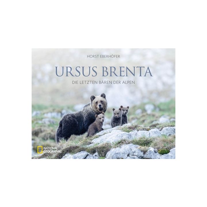 Ursus Brenta &mdash; Die R&uuml;ckkehr der B&auml;ren in die Alpen