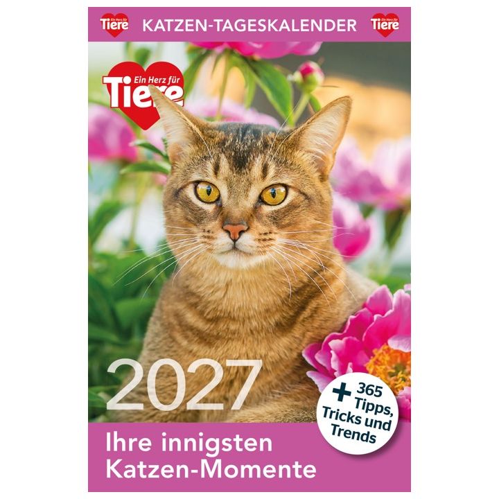 Katzen Tageskalender 2027