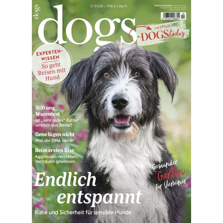 Dogs 2/2026