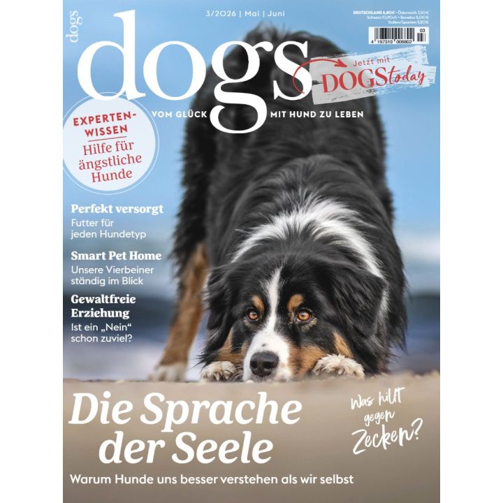Dogs 3/2026