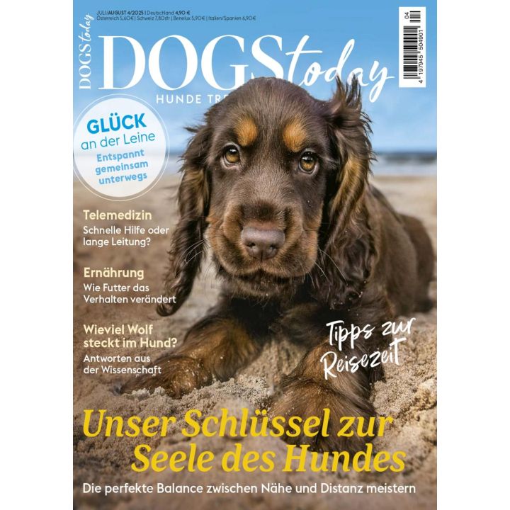 Dogs today 4/2025