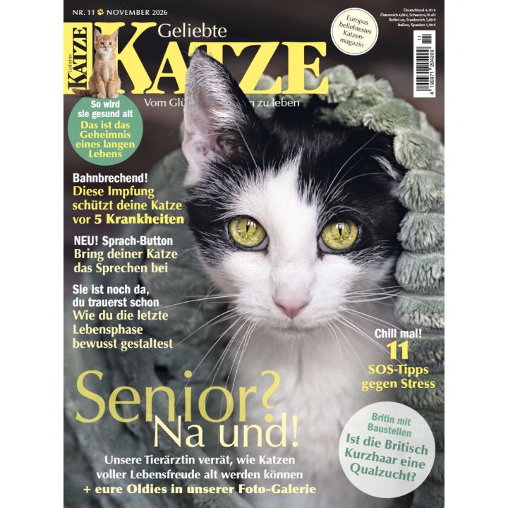 Geliebte Katze 11/2026