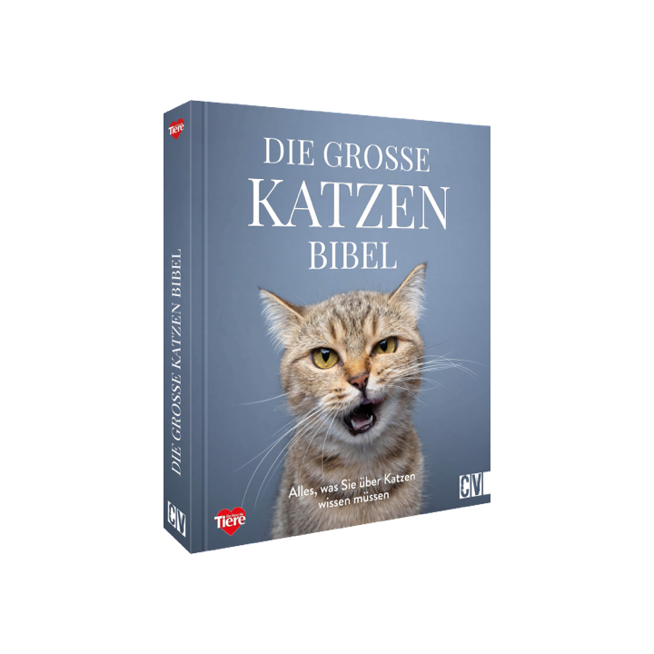 Die große Katzenbibel
