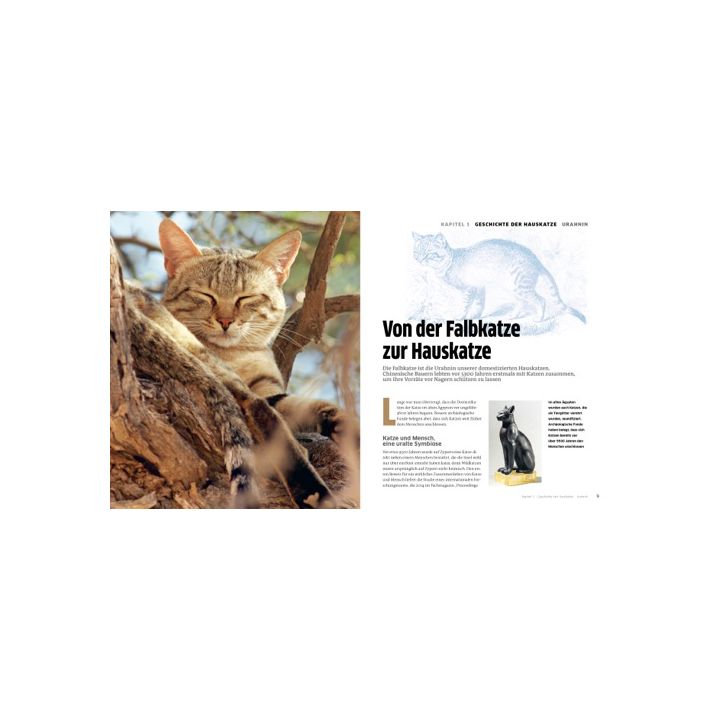 Die große Katzenbibel