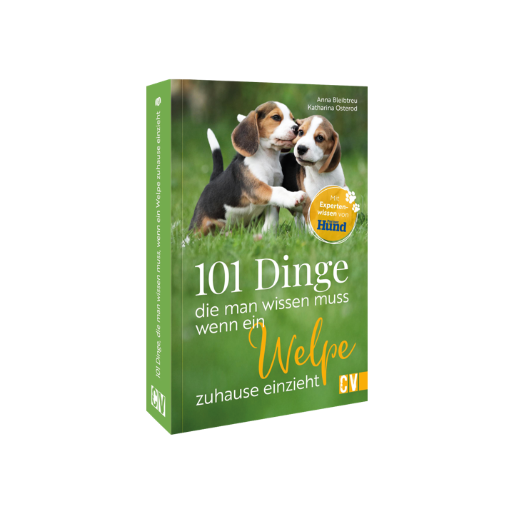 101 Dinge, die man wissen muss, wenn ein Welpe zuhause einzieht
