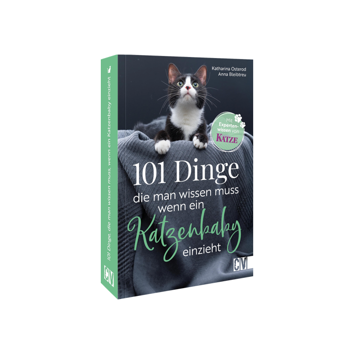 101 Dinge, die man wissen muss, wenn ein Katzenbaby einzieht