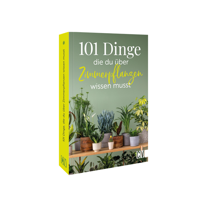 101 Dinge, die Du über Zimmerpflanzen wissen musst