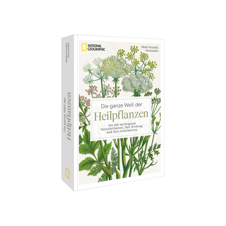 Die ganze Welt der Heilpflanzen
