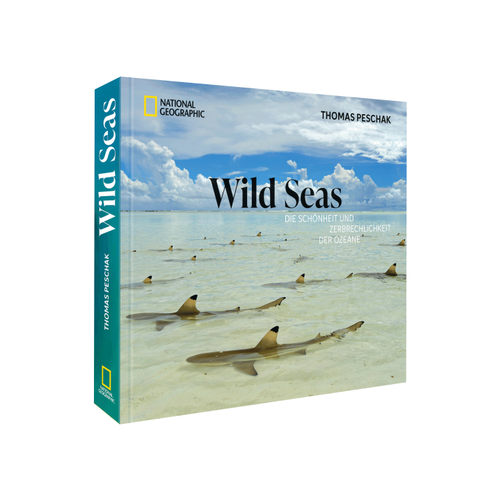 Wild Seas