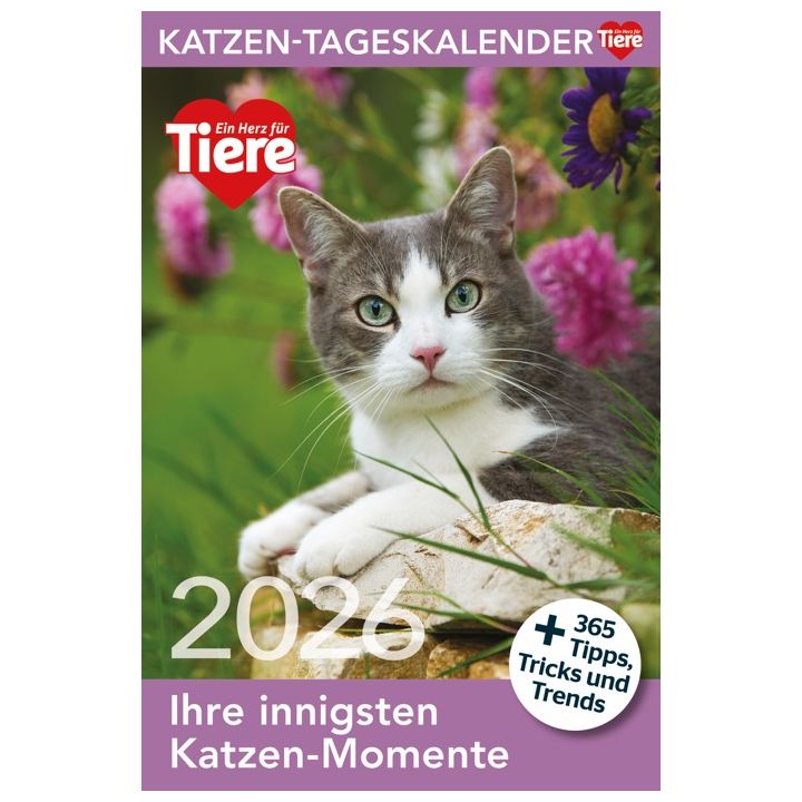 Katzen Tageskalender 2026
