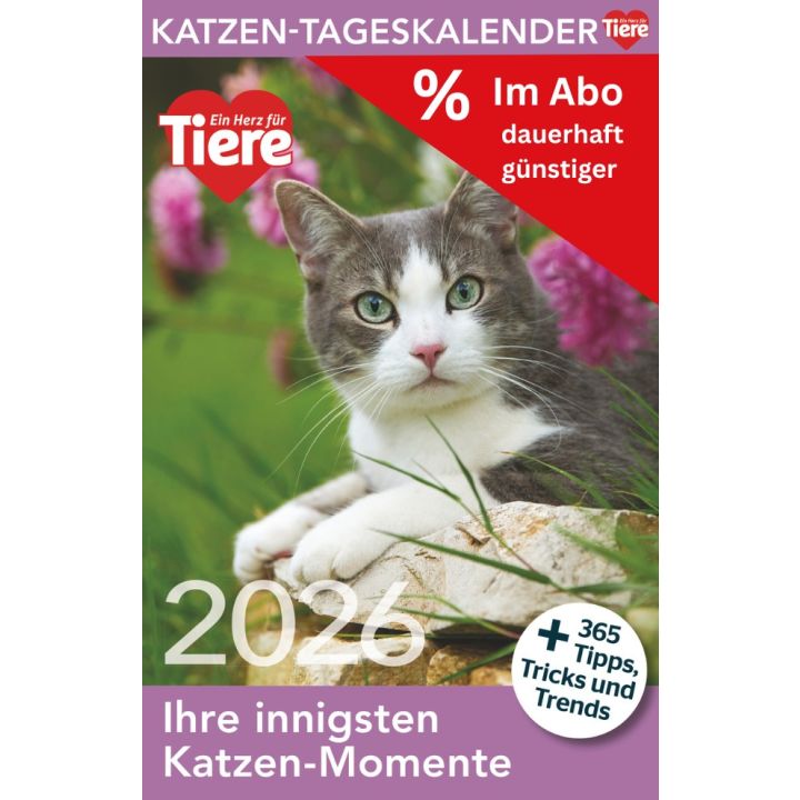 Katzen Tageskalender Sparabo