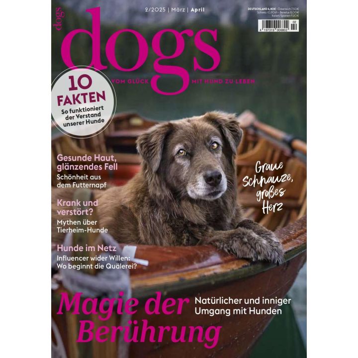 Dogs today 2/2025