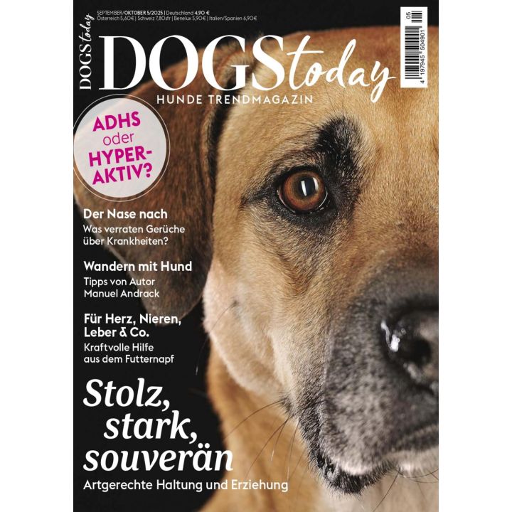 Dog Today 5/2025