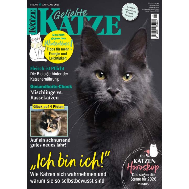 Geliebe Katze 1/2026