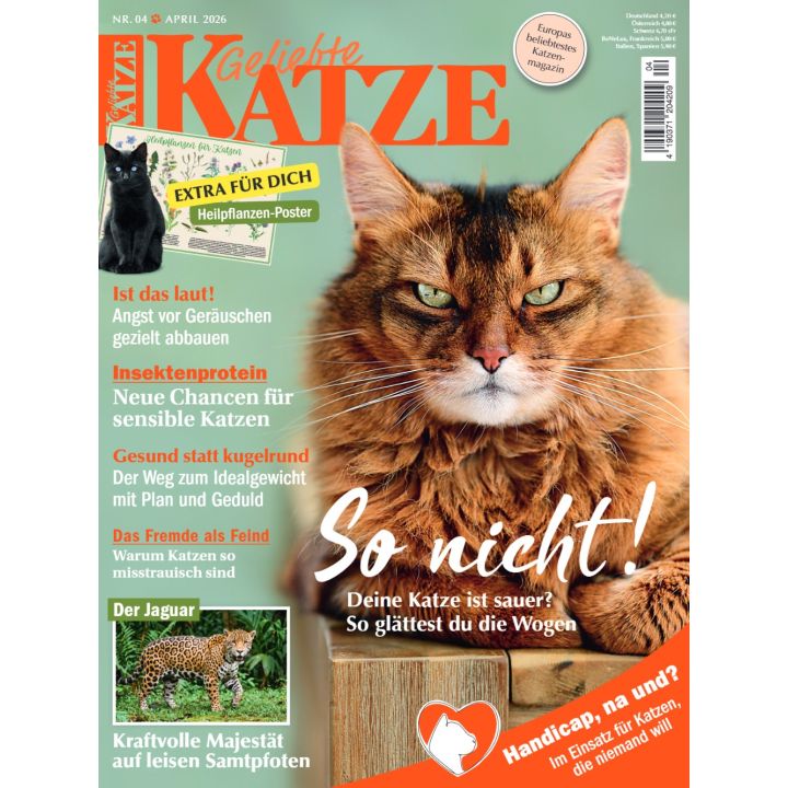 Geliebte Katze 4/2026