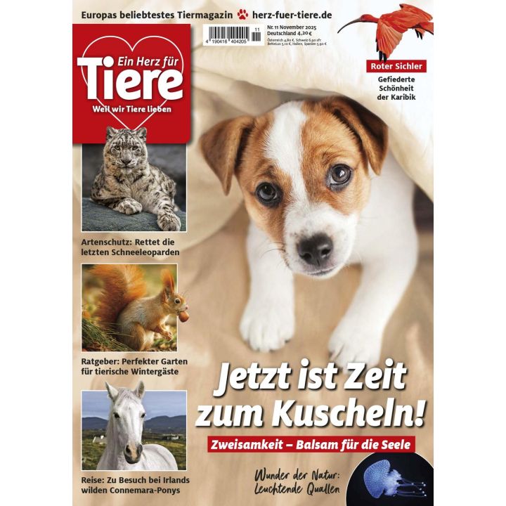 Ein Herz für Tiere 11/2025