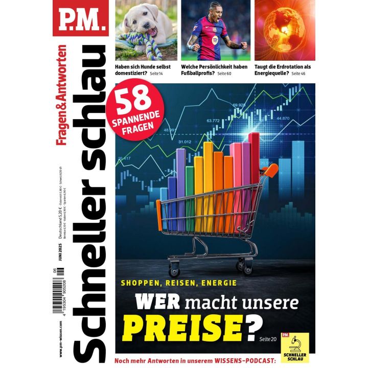 PM Schneller Schlau 6/2025