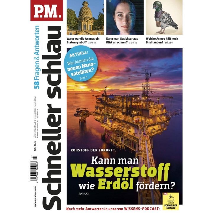 PM Schneller Schlau 7/2025