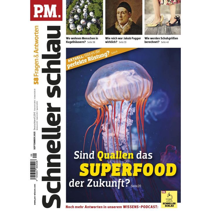 PM Schneller Schlau 9/2025