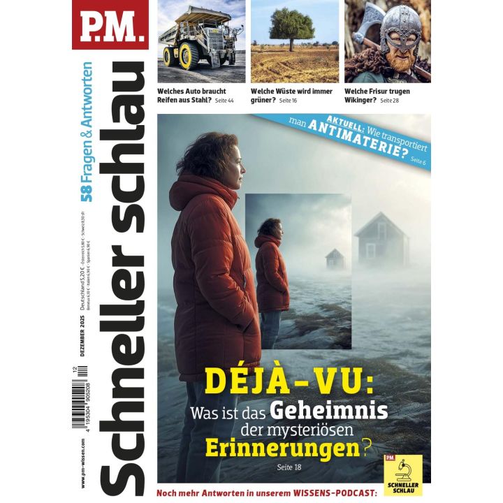 PM Schneller Schlau 12/2025