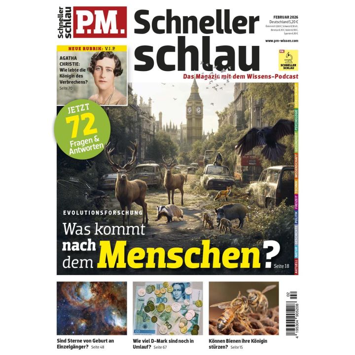 PM Schneller Schlau 2/2026