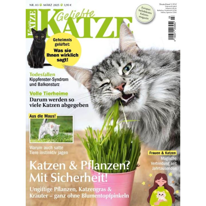 Geliebte Katze zum Verschenken