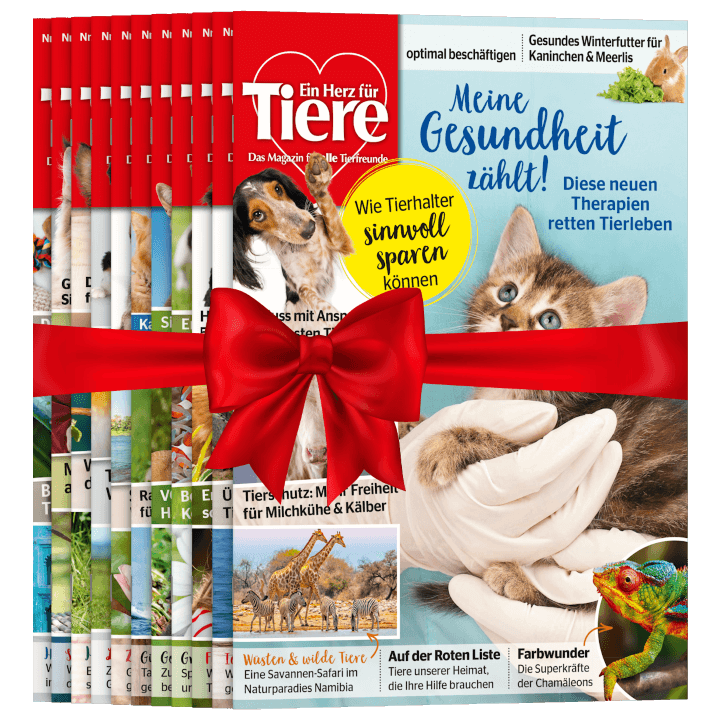 Ein Herz f&uuml;r Tiere zum Verschenken