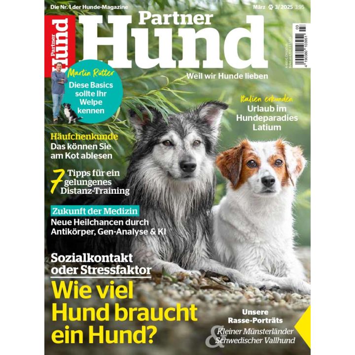 Partner Hund zum Verschenken
