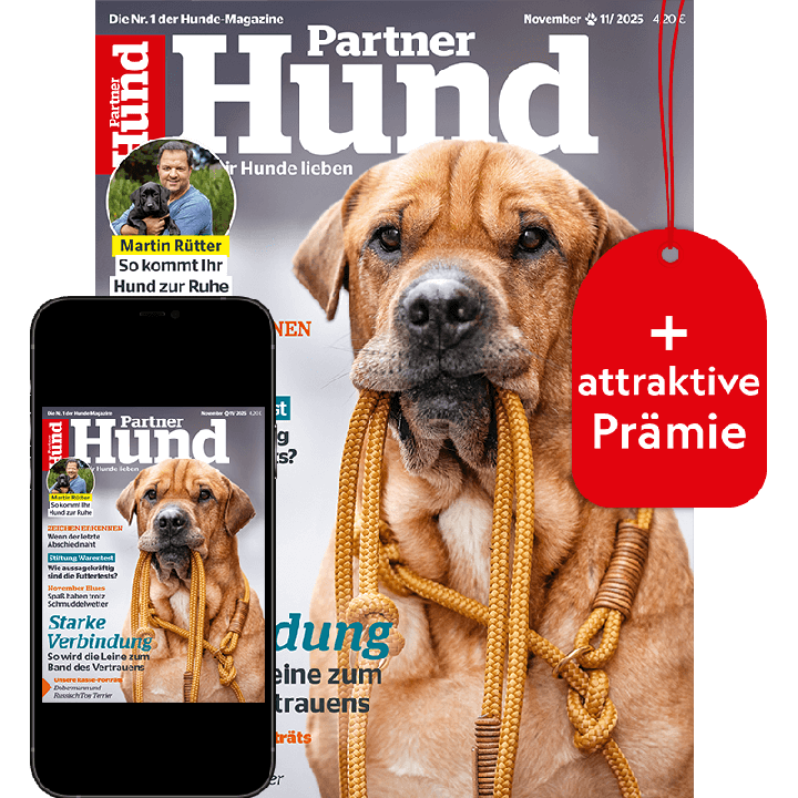 Partner Hund Testabo &bdquo;Plus&ldquo; mit Geschenk f&uuml;r Sie