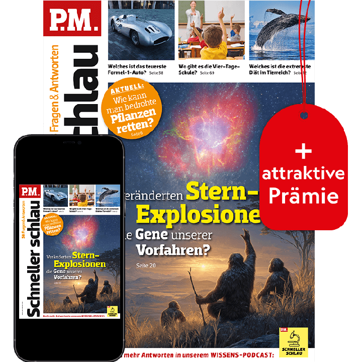 P.M. Schneller schlau Vorteilsabo „Plus“ mit Prämie