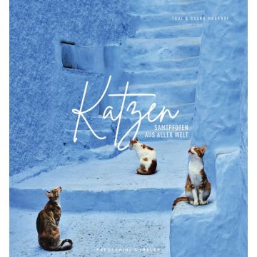 Katzen