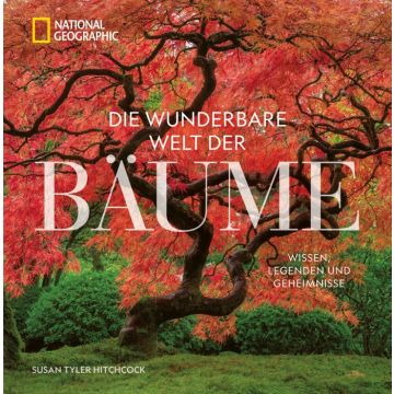 Die wunderbare Welt der Bäume