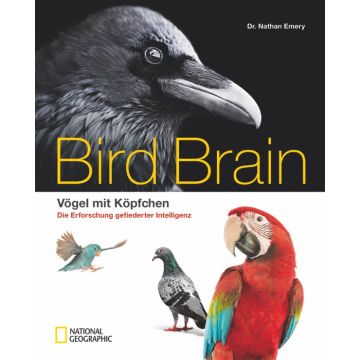 Bird Brain