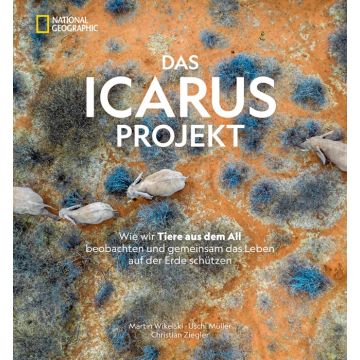 Das ICARUS Projekt