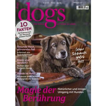 Dogs today 2/2025