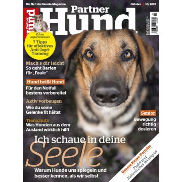 Partner Hund 10/2026