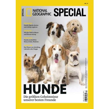 Hunde 17/2024