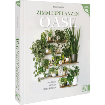 Zimmerpflanzen Oase