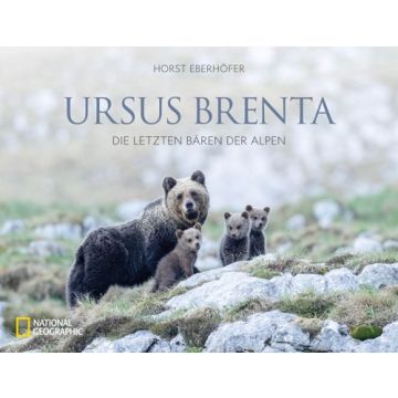 Ursus Brenta — Die Rückkehr der Bären in die Alpen