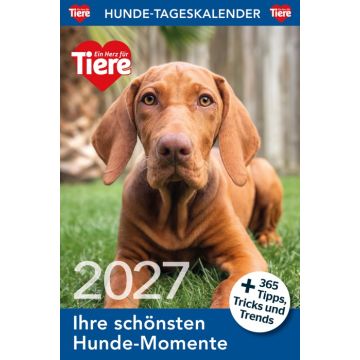 Hunde Tageskalender 2027