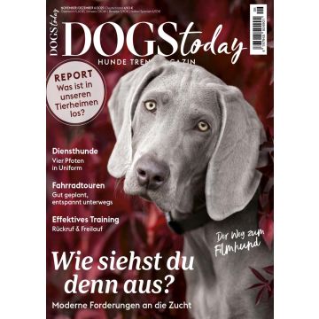DogsTtoday 6/2025