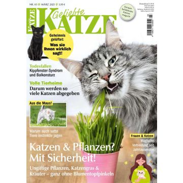 Geliebte Katze 3/2025