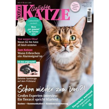 Geliebte Katze 7/2025
