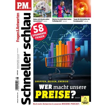 PM Schneller Schlau 6/2025