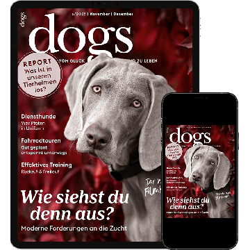 Dogs Testabo „Einstieg-Digital“ – E-Paper