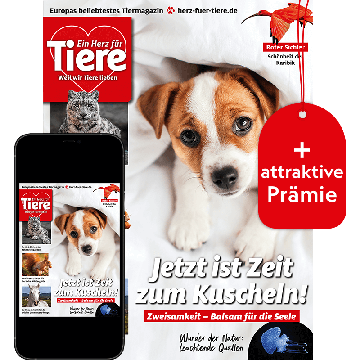 Ein Herz für Tiere Testabo „Plus“ mit Geschenk für Sie
