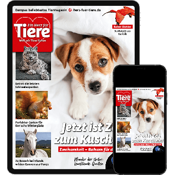 Ein Herz für Tiere Testabo „Einstieg-Digital“ – E-Paper